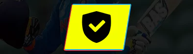 Security and Protection icon