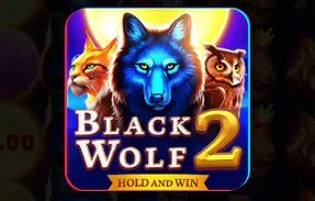Black Wolf 2 icon
